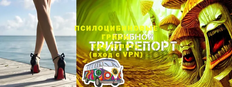 Магазин наркотиков Иланский A-PVP  Галлюциногенные грибы  Кокаин  МЕФ  omg рабочий сайт  Канабис  ГАШИШ 